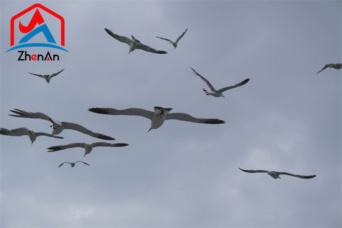 Cement Kiln Industrial Refractory Bricks Cement Kiln Industrial Refractory Bricks